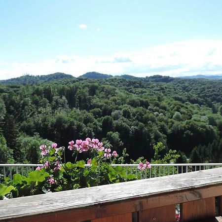 Weingut Gaestezimmer Gruber エーレンハウゼン エクステリア 写真