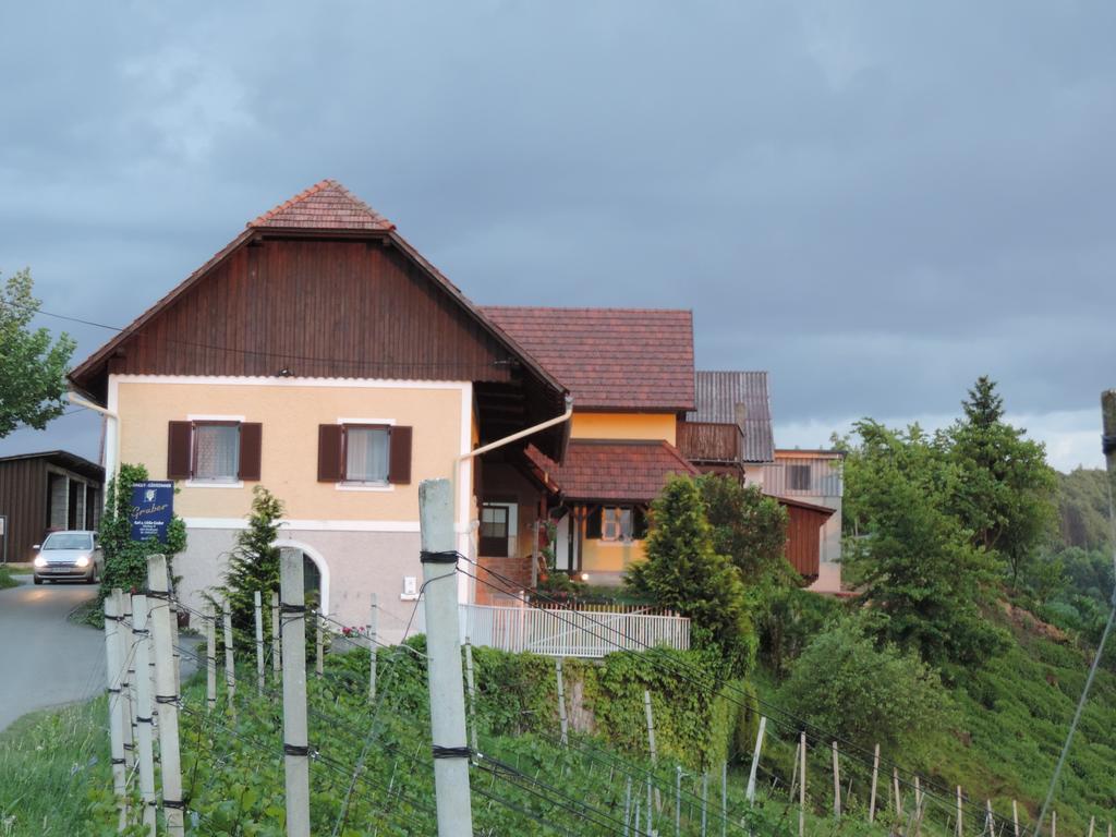 Weingut Gaestezimmer Gruber エーレンハウゼン エクステリア 写真