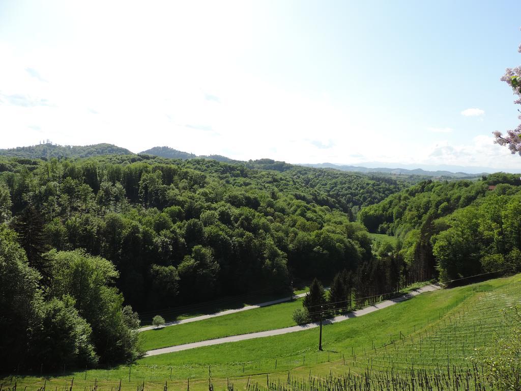 Weingut Gaestezimmer Gruber エーレンハウゼン エクステリア 写真